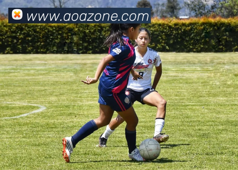 AOA体育发展历程